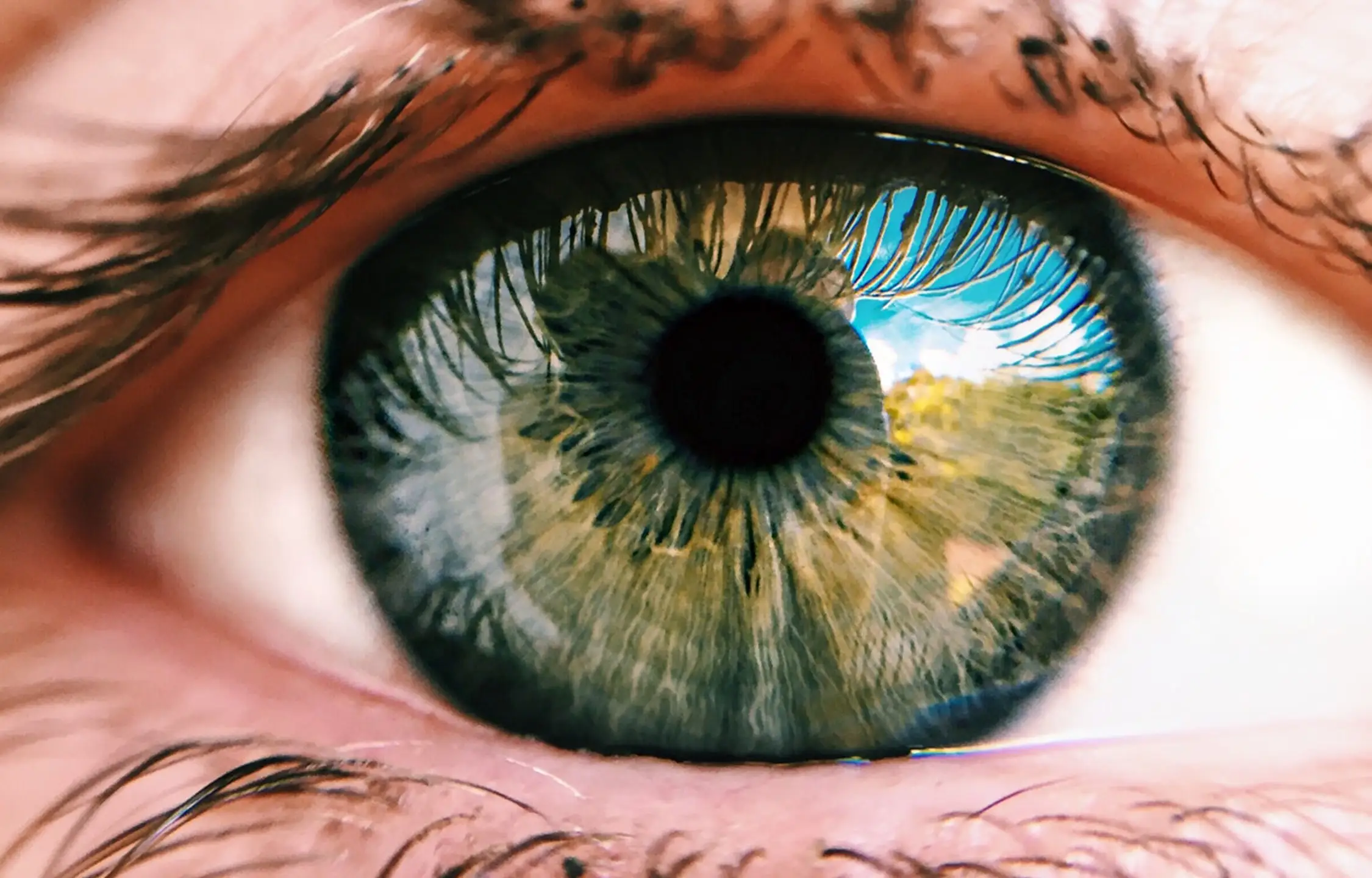 Auge mit Iris in brillanten Farben